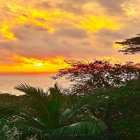 Au Lever Du Soleil Guest House Sea View オー・カップ エクステリア 写真