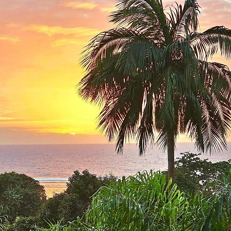 Au Lever Du Soleil Guest House Sea View オー・カップ エクステリア 写真