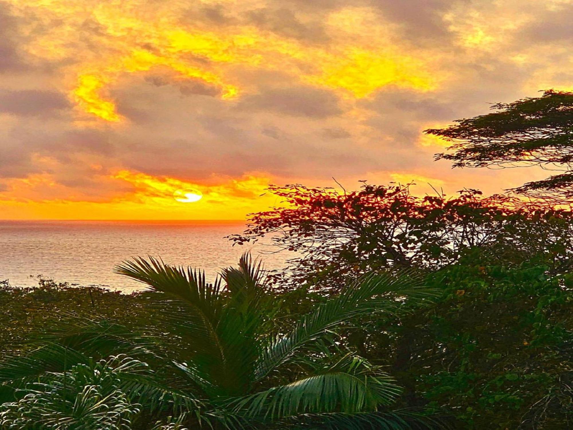 Au Lever Du Soleil Guest House Sea View オー・カップ エクステリア 写真