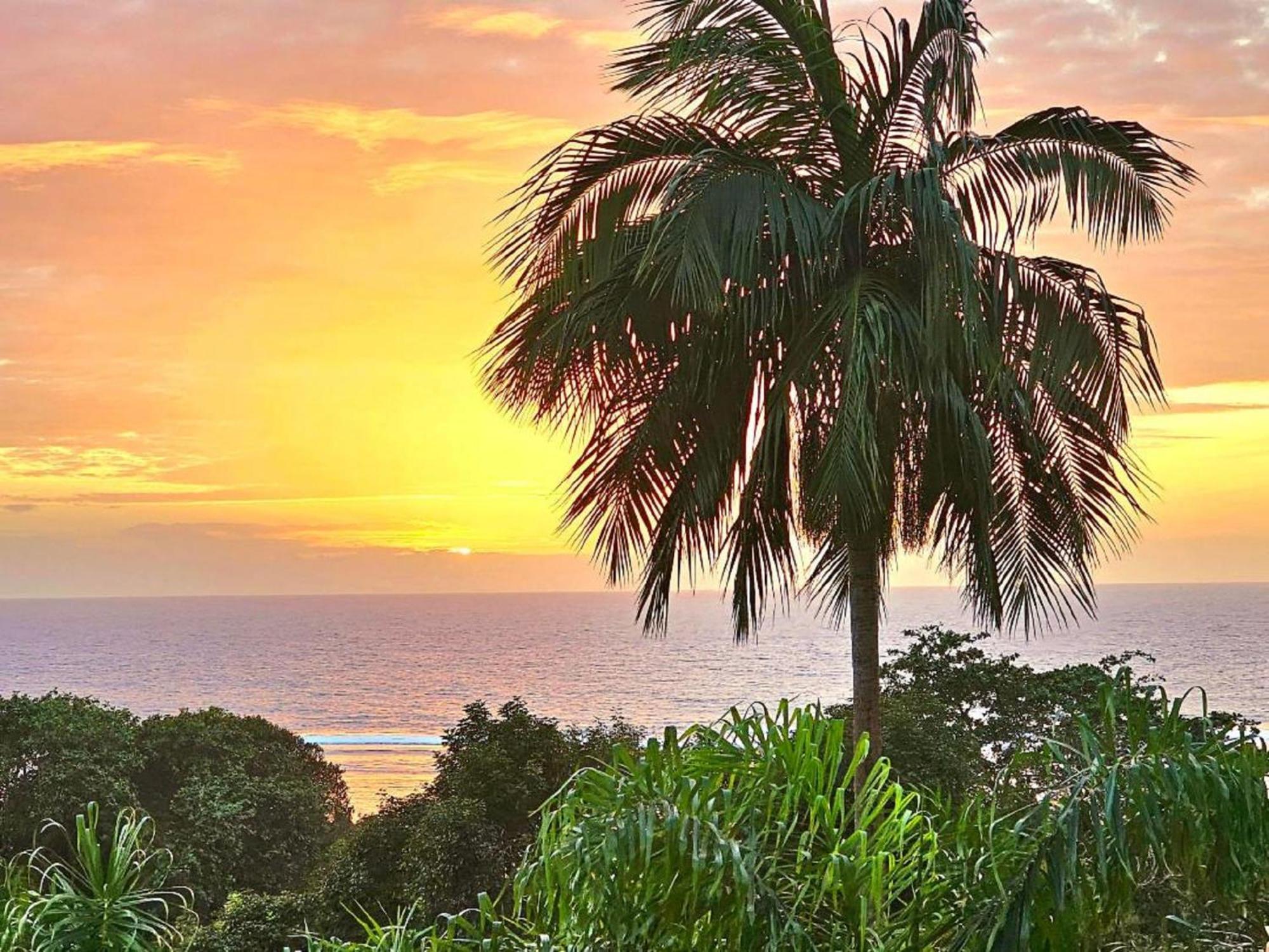 Au Lever Du Soleil Guest House Sea View オー・カップ エクステリア 写真